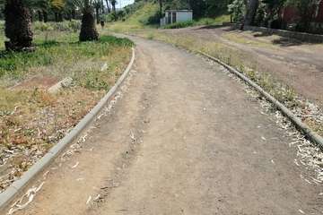 Abandono del Parque de las Mil Palmeras del Valle de Jinámar/TA.